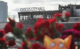 Теракт в Москве Число погибших в Крокус Сити Холле возросло