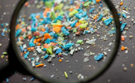 Вездесущий пластик Частицы микропластика обнаружены там где его быть не могло
