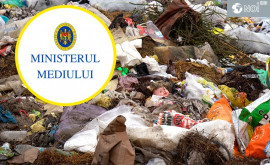 Autoritățile intervin în cazul catastrofei ecologice din mai multe sate din Călărași și Orhei