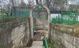 Izvorul Sculeni Elena dintrun parc din capitală a fost curățat