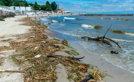Vor fi deschise plajele din Odesa pentru sezonul de vară Răspunsul administrației