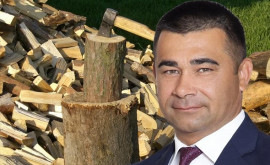 Nicolae Pascaru Pădurea nu este un business care trebuie să aducă bani