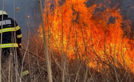 Riscul izbucnirii incendiilor de vegetație persistă Recomandările salvatorilor