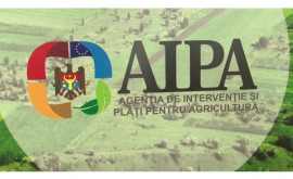 Agenția de Intervenție și Plăți pentru Agricultură reamintește despre depunerea unor cereri
