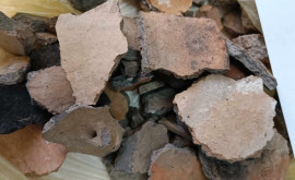 Археологи нашли в Молдове новые остатки поселения бронзового века 