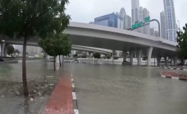 Șosele importante inundatt și zboruri anulate în EAU din cauza ploilor abundente 