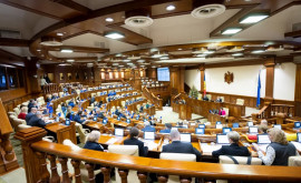 Audieri publice în parlament pe subiectul decesului AneiMaria
