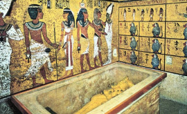 Что на самом деле представляет собой проклятие Тутанхамона