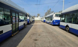 Transportul public municipal va activa în regim special de Paștele Blajinilor
