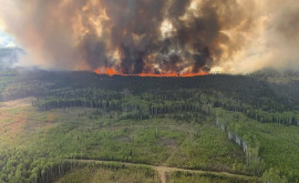 Arde tot în cale Canada se confruntă cu incendii devastatoare