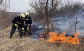 Mii de hectare de terenuri compromise de arderea vegetației uscate