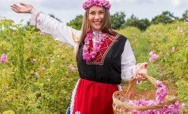 Фестиваль роз в Болгарии аромат цвет и вкус