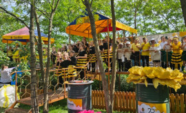 Elevii claselor primare au participat la un proiect educațional despre albine