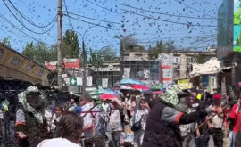 Invazie de albine la Piaţa Centrală din Chişinău