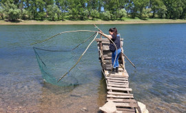 На реке Днестр выявлены случаи незаконной рыбной ловли