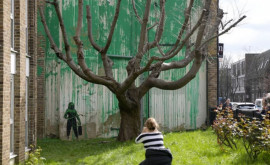La New York sa deschis un muzeu Banksy