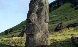 Celebrele statui de pe Insula Paștelui amenințate cu dispariția