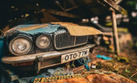 O femeie a descoperit întrun hambar abandonat 50 de mașini de epocă