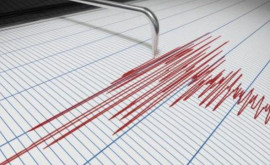 Землетрясение вблизи Молдовы Сколько составила магнитуда 