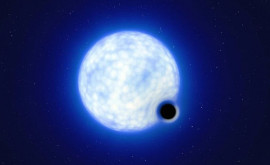 Астрофизики возможно разгадали тайну исчезающих звезд
