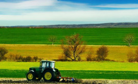 Чехия поддержит новый проект в аграрном секторе Молдовы
