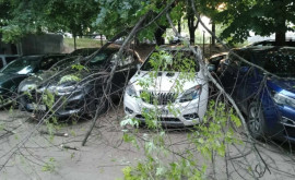 Cum șiau găsit mașinile de dimineață unii șoferi din Bălți