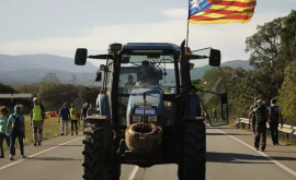 Noi proteste ale fermierilor de pe ambele părți ale Pirineilor Care sînt revendicările protestatarilor