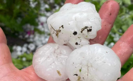 La Nisporeni a plouat cu grindină Grădinile gospodarilor afectate
