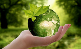 Сегодня отмечается Всемирный день окружающей среды Каков лозунг этого года 