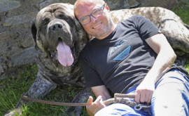 Un mastiff englez a stabilit recordul pentru cel mai greu cîine 