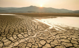 В Бразилии прогнозируют период экстремальной засухи 