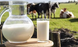 Consiliul Concurenței a desfășurat inspecții inopinate la producătorii de lapte