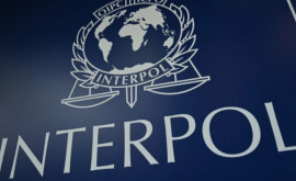 Șeful IGP oferă mai multe detalii din spatele anchetei INTERPOL Moldova