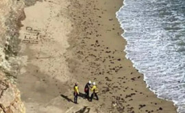 Operațiune de salvare Un bărbat abandonat pe o plajă pustie a fost descoperit și salvat din întâmplare