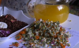 Sănătos și aromat O femeie din Ștefan Vodă face bomboane și ceaiuri din plantele culese de ea
