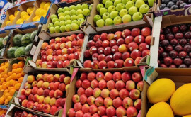Noi posibilități de export pentru fructele moldovenești pe piața Marii Britanii