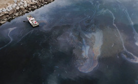 Экологическая катастрофа в Сингапуре какие вещества попали в море