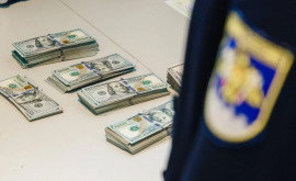 В багаже иностранца найдены десятки тысяч незадекларированных долларов 