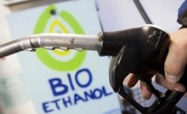Ministerul Energiei propune eliminarea accizelor la bioetanol