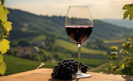 Mai multă calitate și siguranță pentru sectorul viticol