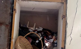 Mormane de gunoi găsite întrun apartament din capitală