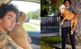 Dragoste peste timp și distanță cum a fost găsit un câine pierdut acum doi ani