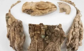 O cutie de fildeș găsită în urma unei săpături sa dovedit a fi un artefact antic
