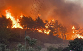 Incendiile de pădure fac prăpăd în Turcia