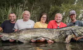 La vînat timp de 33 de ani un bărbat a prins un pește uriaș de peste doi metri lungime
