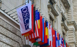 Россия приостанавливает участие своей делегации в ПА ОБСЕ
