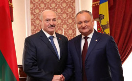 О чем Додон написал Лукашенко