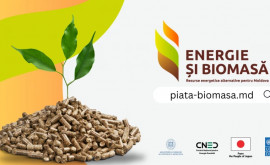 A fost lansată platforma online dedicată dezvoltării pieței de energie din biomasă 