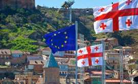 В Грузии заявили что обойдутся без помощи Евросоюза