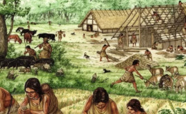 Sa aflat motivul scăderii accentuate a populației din Europa în timpul perioadei neolitice